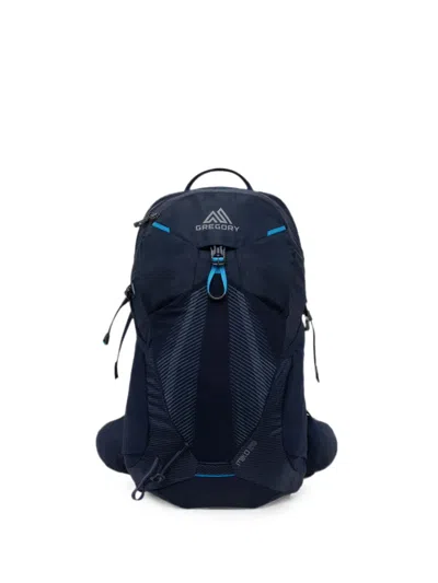 Gregory Miko 20 Backpack In Blue