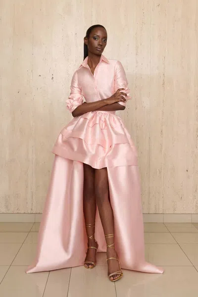 Greta Constantine Tadiak Gown In Pink