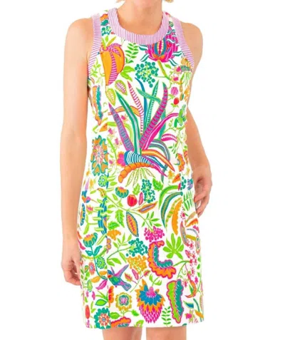 Gretchen Scott Hummingbird Heaven Dress In Pink Multi