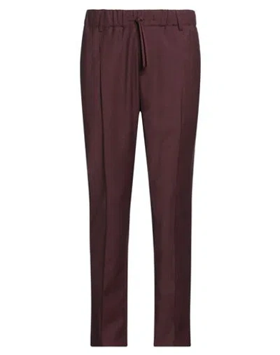 Grey Daniele Alessandrini Man Pants Chocolate Brown Size 30 Polyester, Wool, Elastane In Burgundy