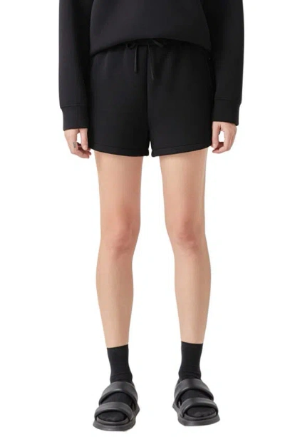 Grey Lab Tie Waist Scuba Shorts In Black