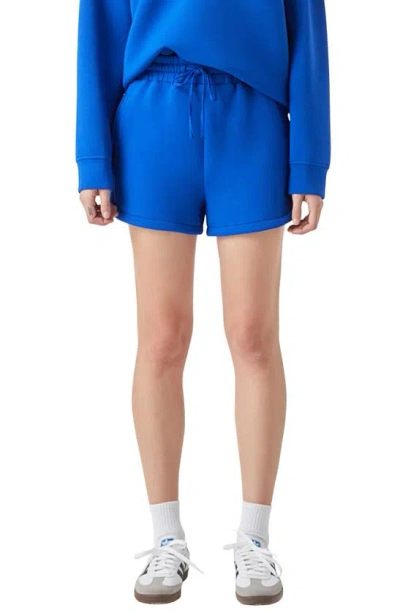 Grey Lab Tie Waist Scuba Shorts In Royal Blue