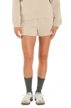 Grey Lab Tie Waist Scuba Shorts In Taupe