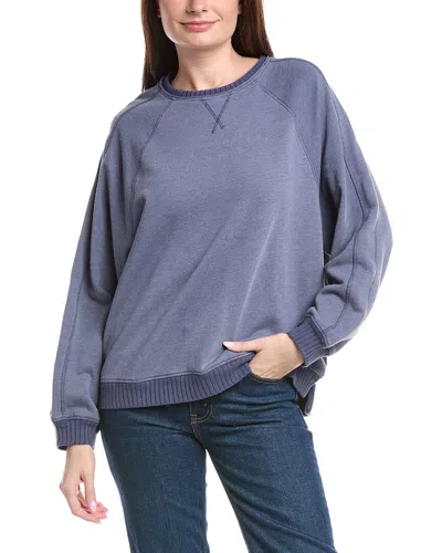Grey State Sweatshirt In Purple