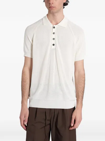Greyed Raglan-sleeve Button-down Polo Shirt In Neutral