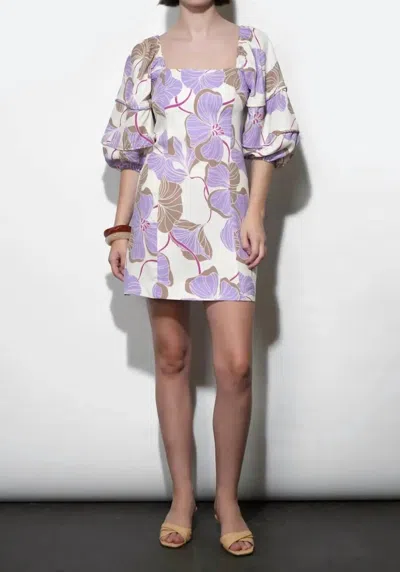 Greylin Emery Mini Dress In Cream/lilac In Multi