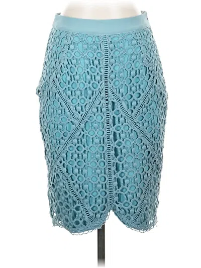 Pre-owned Greylin Formal Skirt In Blue