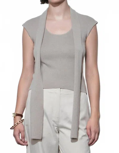 Greylin Hannah Scarf Knit Top In Oat In Brown