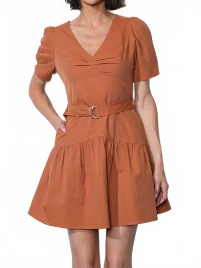 Greylin Hayden Puff Sleeve Belted Flare Dress In Burnt Orange In Brown