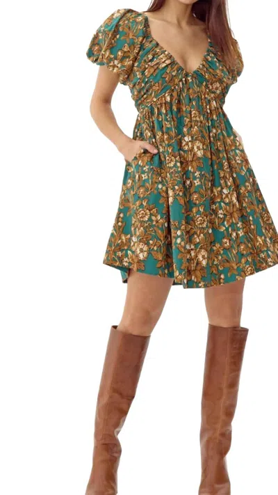 Greylin Karla Mini Dress In Brown/blue In Green