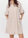 Greylin Kyra Stripe Button Front Mini Dress In Chestnut In Neutral