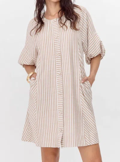 Greylin Kyra Stripe Button Front Mini Dress In Chestnut In Neutral