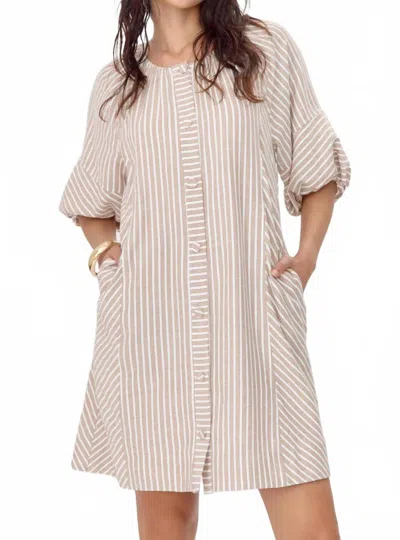 Greylin Kyra Stripe Button Front Mini Dress In Chestnut In Pink