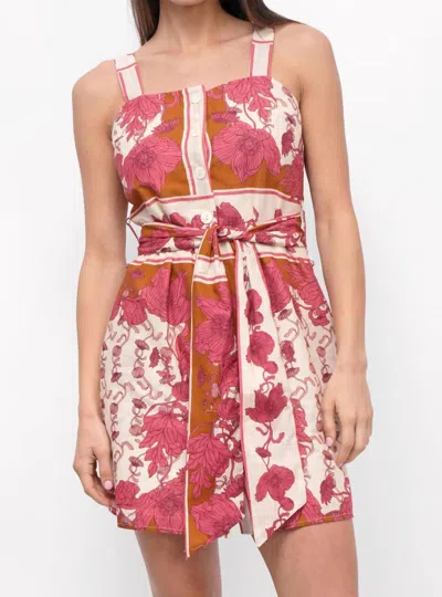 Greylin Tristin Dress In Ecru/coral In Multi
