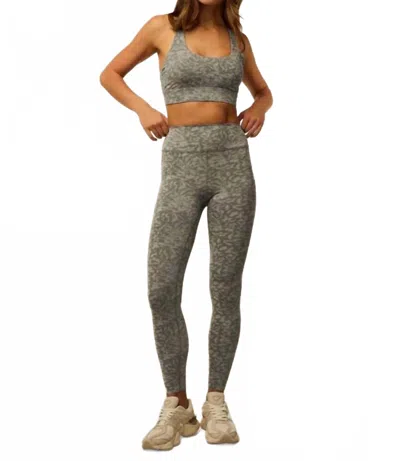 Greyson Clothiers Midas Wolf Jacquard Legging In Clay Multi