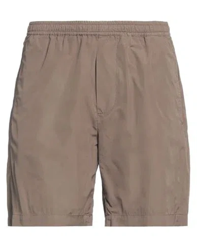 Grifoni Man Shorts & Bermuda Shorts Light Brown Size 32 Cotton In Beige