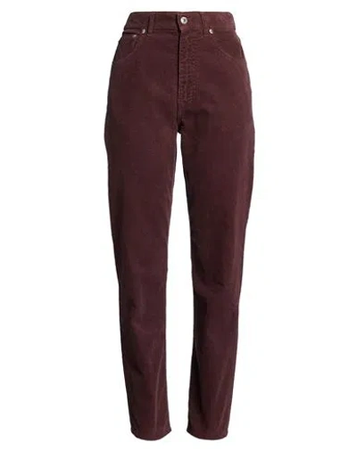 Grifoni Woman Pants Chocolate Brown Size 27 Cotton, Elastane In Burgundy