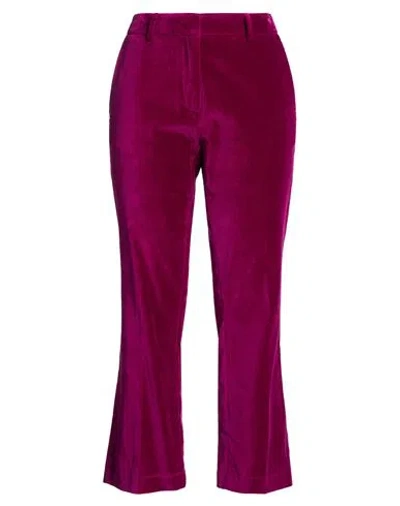Grifoni Woman Pants Magenta Size 8 Cotton, Elastane In Pink