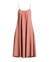 Guardaroba By Aniye By Woman Midi Dress Antique Rose Size S Polyester, Viscose, Elastane In Pink
