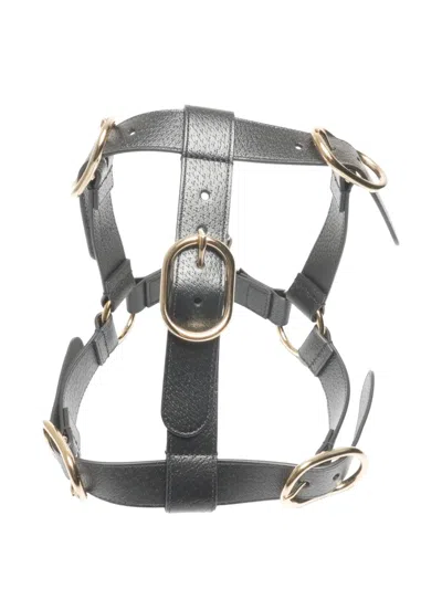 Pre-owned Gucci 2015-2020s Buckle Leather Dog Harness In Black