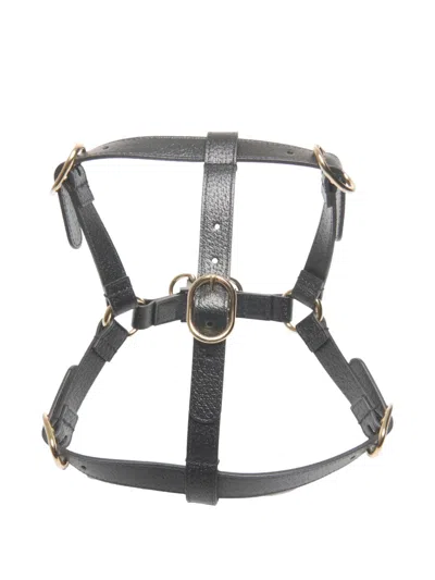 Pre-owned Gucci 2015-2020s Leather Dog Harness In Black