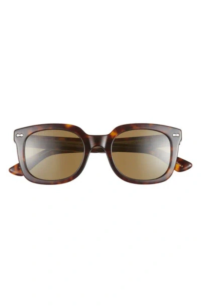 Gucci 50mm Square Sunglasses In Brown