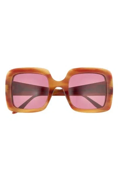 Gucci 52mm Square Sunglasses In Brown