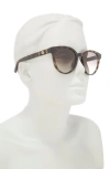 Gucci 53mm Gradient Round Sunglasses In Havana Havana Brown