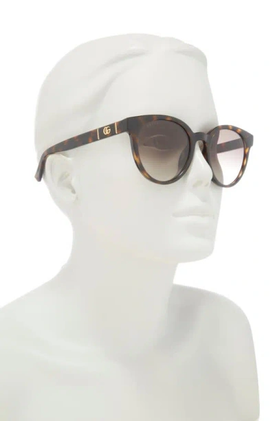 Gucci 53mm Gradient Round Sunglasses In Havana Havana Brown