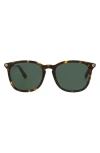 Gucci 53mm Round Oval Sunglasses In Havana Havana Green