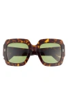 Gucci 53mm Square Sunglasses In Havana Havana Green
