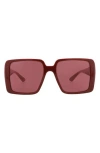Gucci 54mm Square Sunglasses