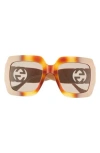 Gucci 54mm Square Sunglasses In Havana Ivory Brown