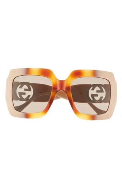 Gucci 54mm Square Sunglasses In Havana Ivory Brown