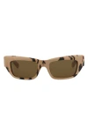 Gucci Cat Eye-frame Recycled Acetate Sunglasses In Brown
