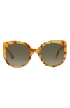 Gucci Women's Gg0325s 55mm Sunglasses In Gradient Brown