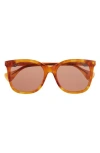 Gucci 55mm Cat Eye Sunglasses In Havana Havana Brown