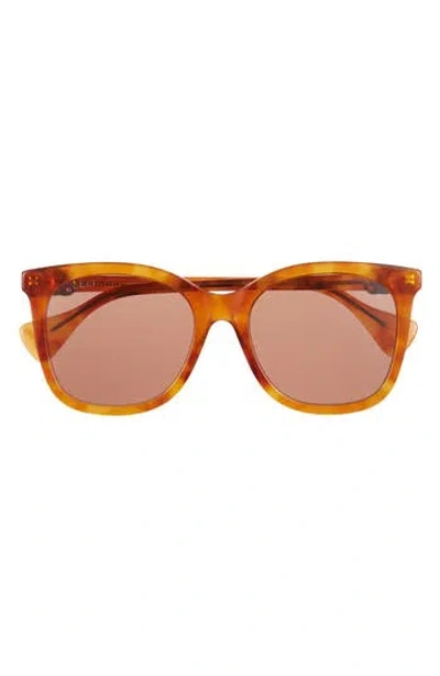 Gucci 55mm Cat Eye Sunglasses In Havana Havana Brown
