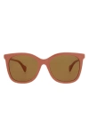Gucci 55mm Cat Eye Sunglasses In Pink Pink Brown