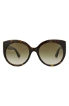 Gucci 55mm Gradient Cat Eye Sunglasses In Havana Havana Brown