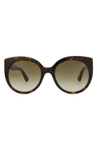 Gucci 55mm Gradient Cat Eye Sunglasses In Havana Havana Brown