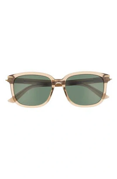 Gucci 55mm Novelty Square Sunglasses In Green