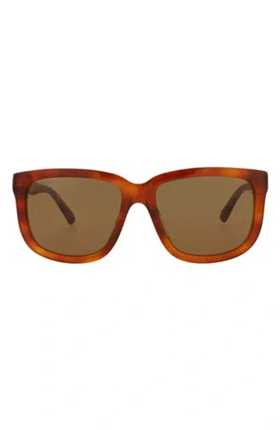 Gucci 55mm Square Sunglasses In Brown