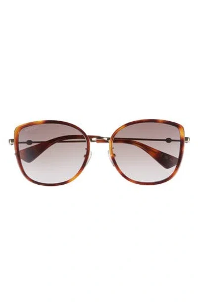 Gucci 56mm Cat Eye Sunglasses In Brown
