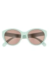Gucci 56mm Cat Eye Sunglasses In Green