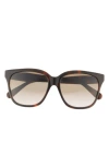 Gucci 56mm Square Sunglasses In Havana Havana Brown