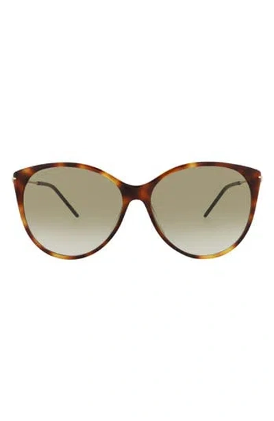 Gucci 58mm Cat Eye Sunglasses In Havana Gold Brown