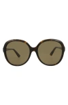 Gucci 58mm Core Oversized Sunglasses In Brown