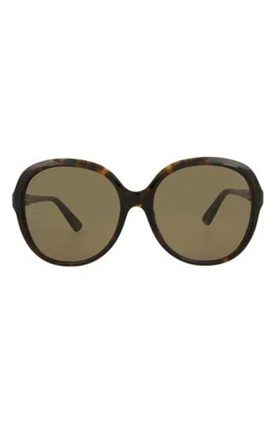 Gucci 58mm Core Oversized Sunglasses In Brown