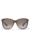 Gucci 58mm Round Sunglasses In Havana Havana Brown